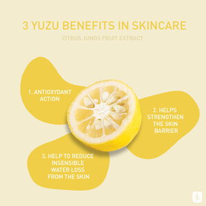 Yuza Radiance Duo - Vitamin c face creams, large (1) | Erborian